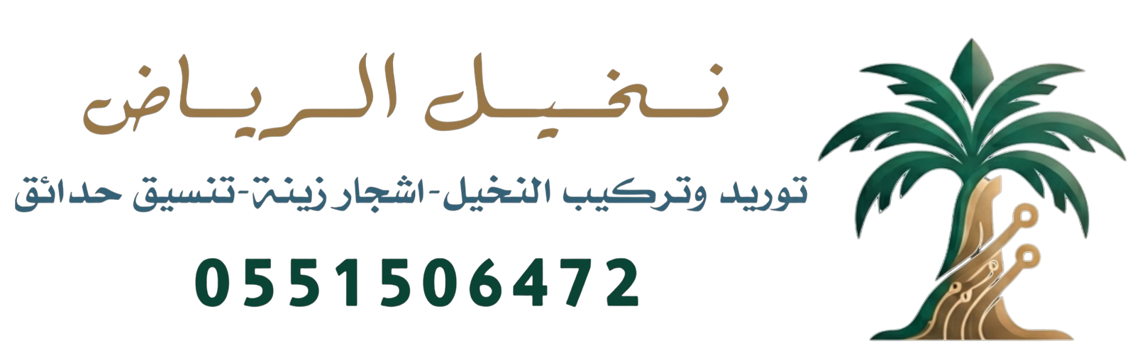 تركيب النخيل في الرياض