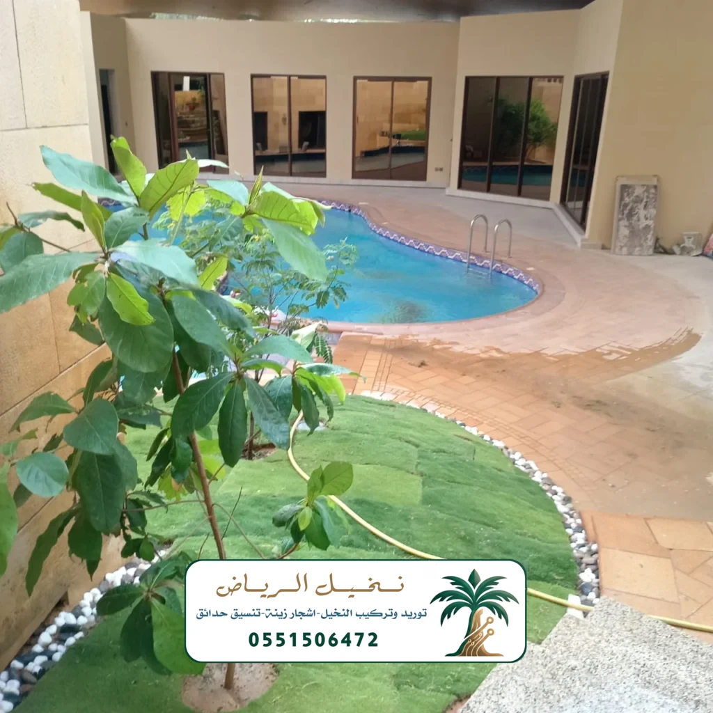 اشجار زينة في الرياض