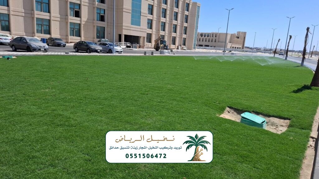 تنسيق حدائق في الرياض