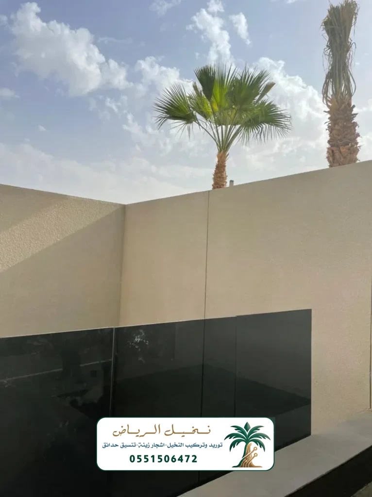 زراعة النخيل في الرياض
