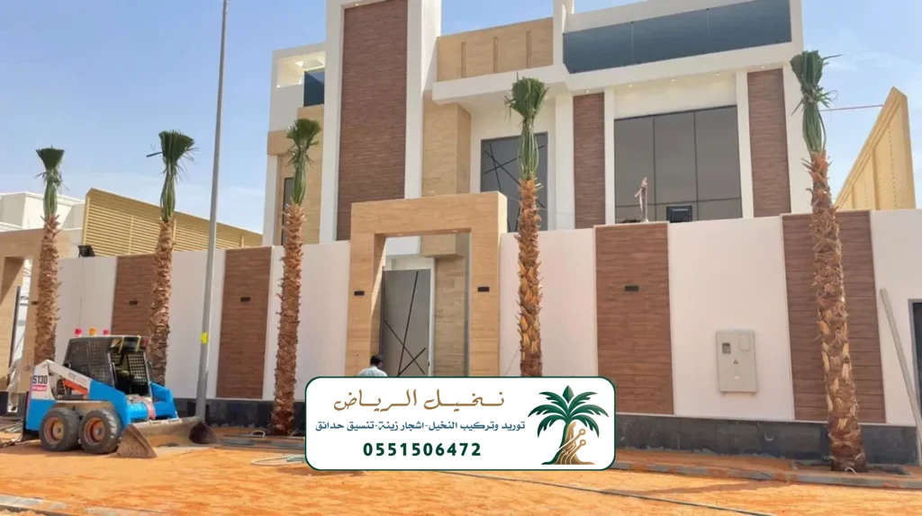 زراعة النخيل في الرياض