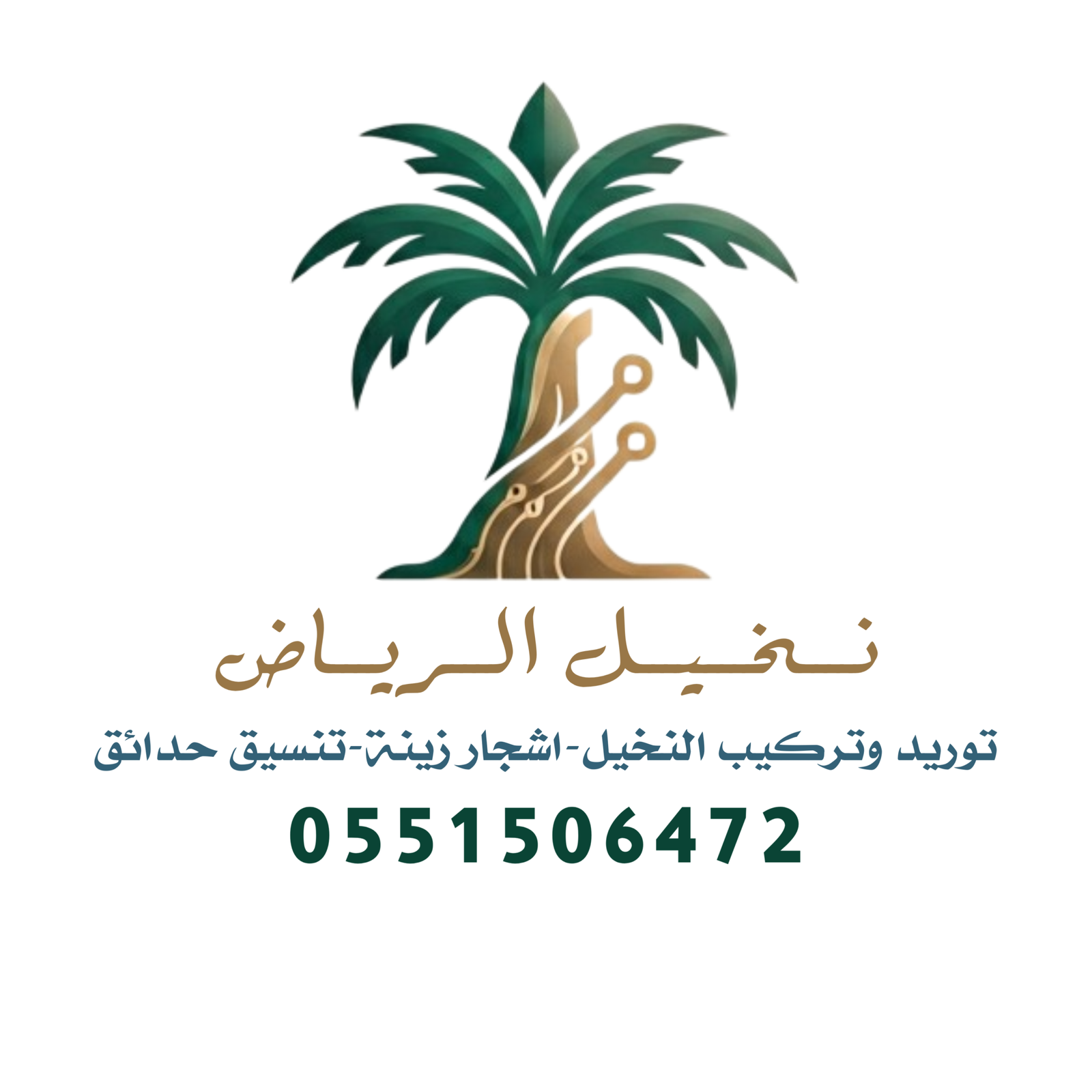 تركيب النخيل في الرياض